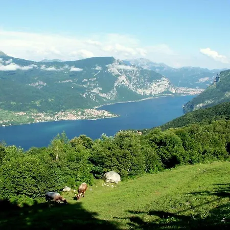 Country house - Tipo Biuno Mezzegra
